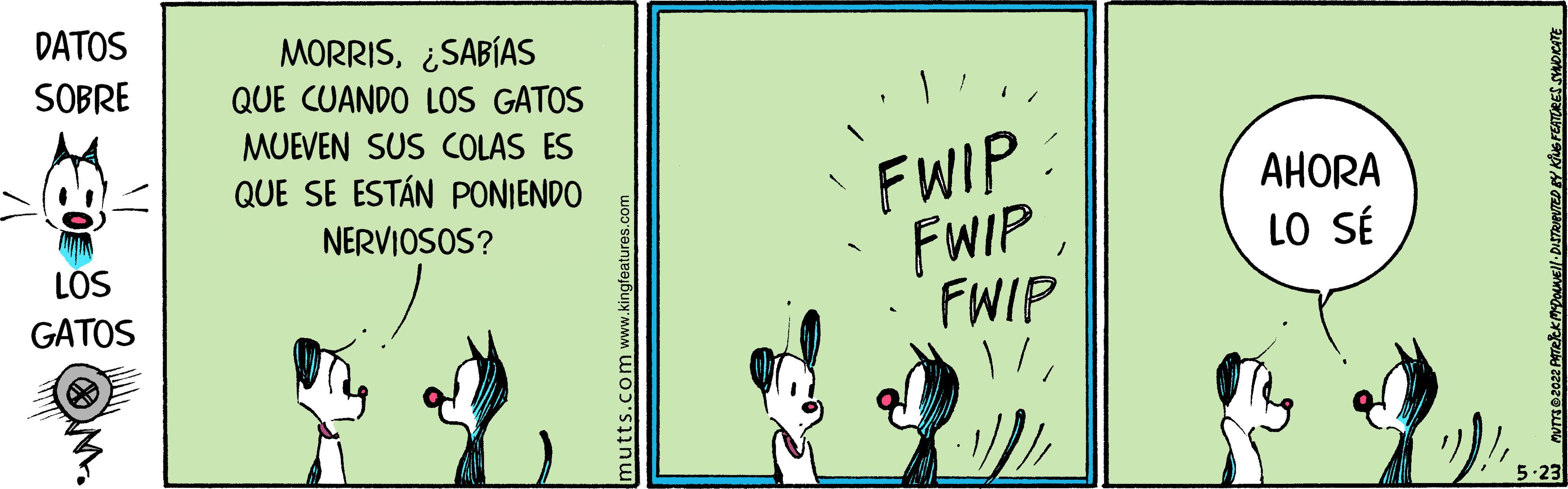 Drawing OCR: DATOS MORRIS¿SABÍAS QUE CUANDO LOS GATOS SOBRE MUEVEN SUS COLAS ES FWIP FWIP FWIP QUE SE ESTÁN PONIENDO AHORA NERVIOSOS? LÖS LO SÉ GATOS 5-23 mutts.com www DATOS MORRIS¿SABÍAS QUE CUANDO LOS GATOS SOBRE MUEVEN SUS COLAS ES FWIP FWIP FWIP QUE SE ESTÁN PONIENDO AHORA NERVIOSOS? LÖS LO SÉ GATOS 5-23 mutts.com www