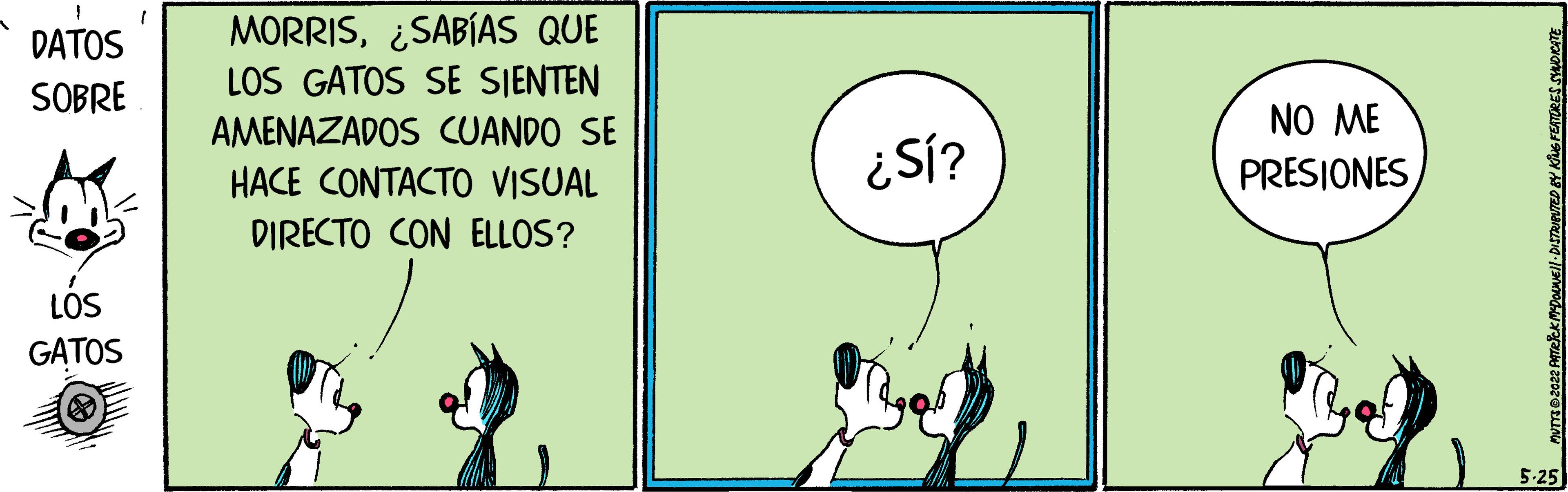 Circle OCR: MORRIS¿SABÍAS QUE LOS GATOS SE SIENTEN DATOS SOBRE AMENAZADOS CUANDO SE NO ME ¿SÍ? PRESIONES HACE CONTACTO VISUAL DIRECTO CON ELLOS? LOS GATOS 5-25 MORRIS¿SABÍAS QUE LOS GATOS SE SIENTEN DATOS SOBRE AMENAZADOS CUANDO SE NO ME ¿SÍ? PRESIONES HACE CONTACTO VISUAL DIRECTO CON ELLOS? LOS GATOS 5-25