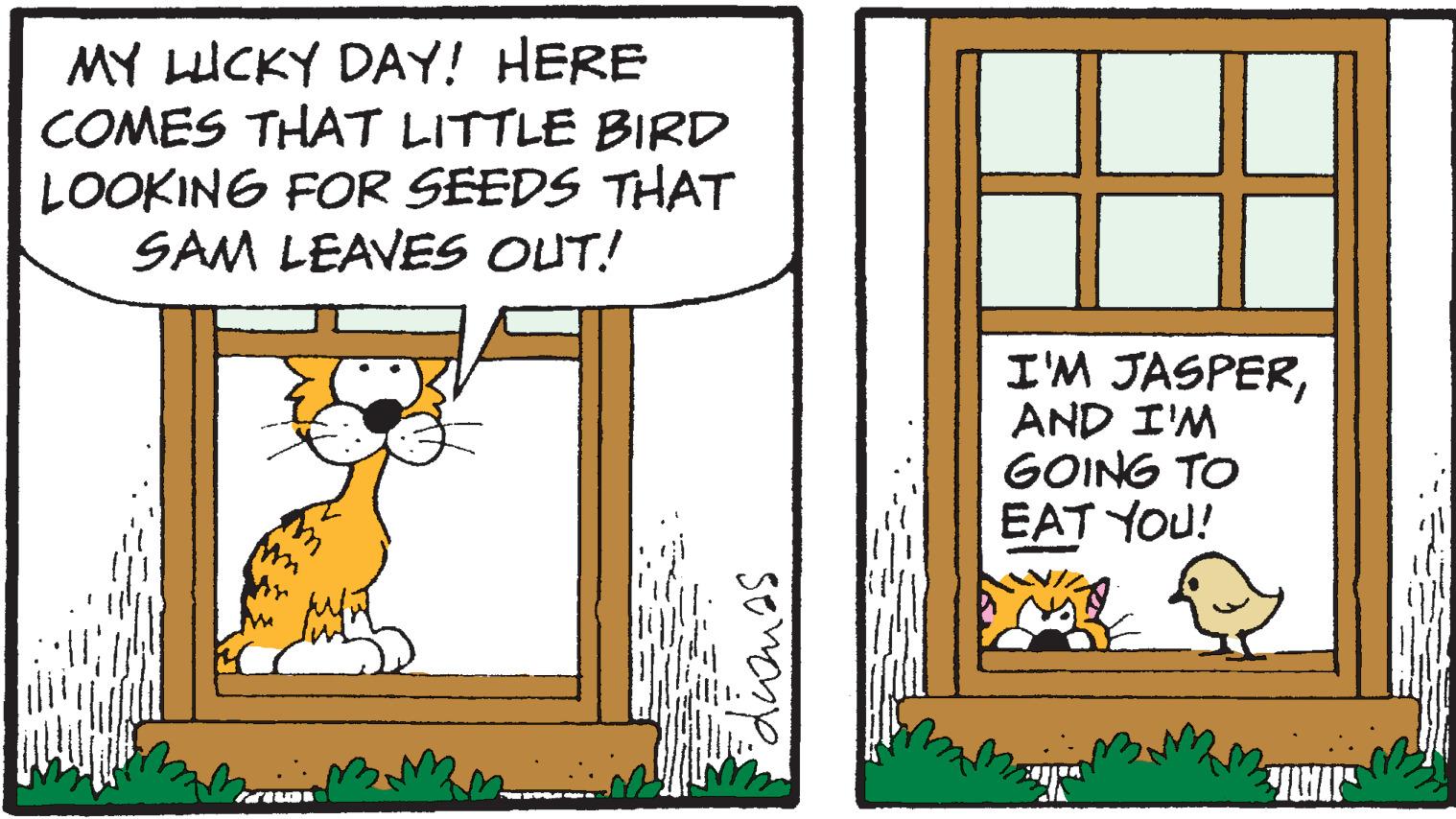 Adaptation OCR: MY LUCKY DAY! HERE COMES THAT LITTLE BIRD LOOKING FOR SEEDS THAT SAM LEAVES OUT! I'M JASPERAND I'M GOING TO EAT YOU! dionas MY LUCKY DAY! HERE COMES THAT LITTLE BIRD LOOKING FOR SEEDS THAT SAM LEAVES OUT! I'M JASPERAND I'M GOING TO EAT YOU! dionas
