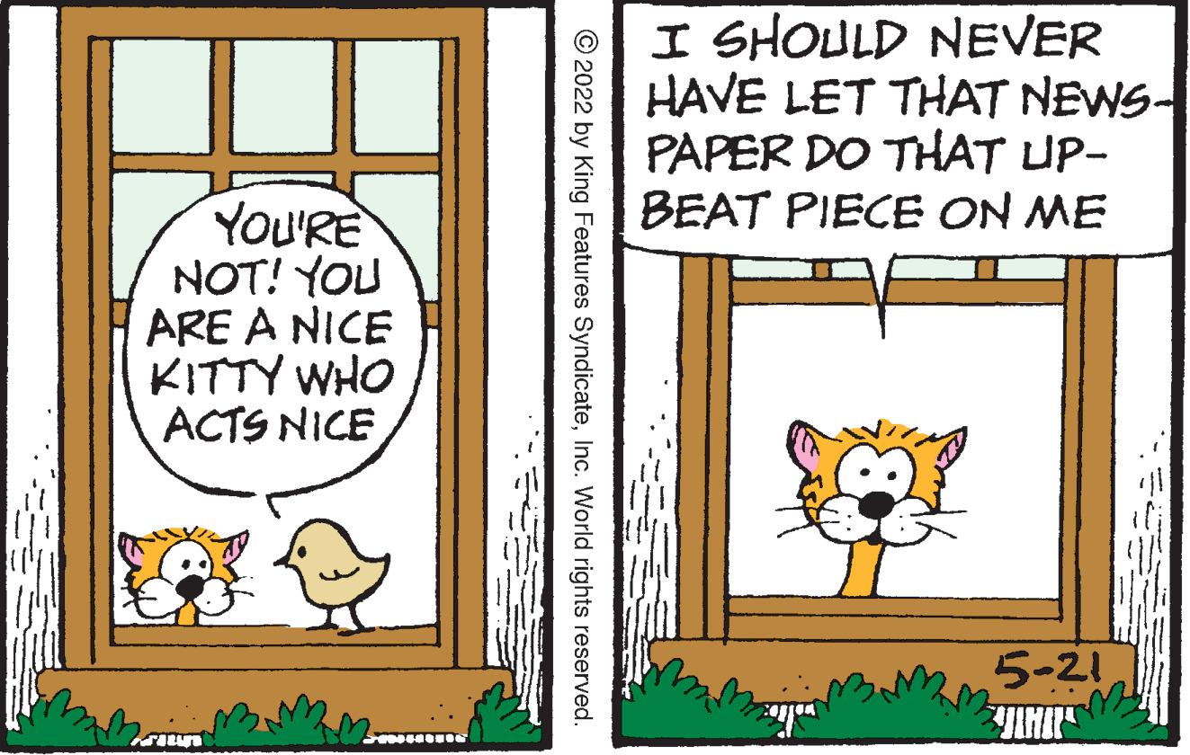 Art OCR: I SHOULD NEVER HAVE LET THAT NEWS- PAPER DO THAT UP- BEAT PIECE ON ME YOU'RE NOT! YOU ARE A NICE KITTY WHO ACTS NICE 5-21 © 2022 by King Features SyndicateInc. World rights reserved. I SHOULD NEVER HAVE LET THAT NEWS- PAPER DO THAT UP- BEAT PIECE ON ME YOU'RE NOT! YOU ARE A NICE KITTY WHO ACTS NICE 5-21 © 2022 by King Features SyndicateInc. World rights reserved.