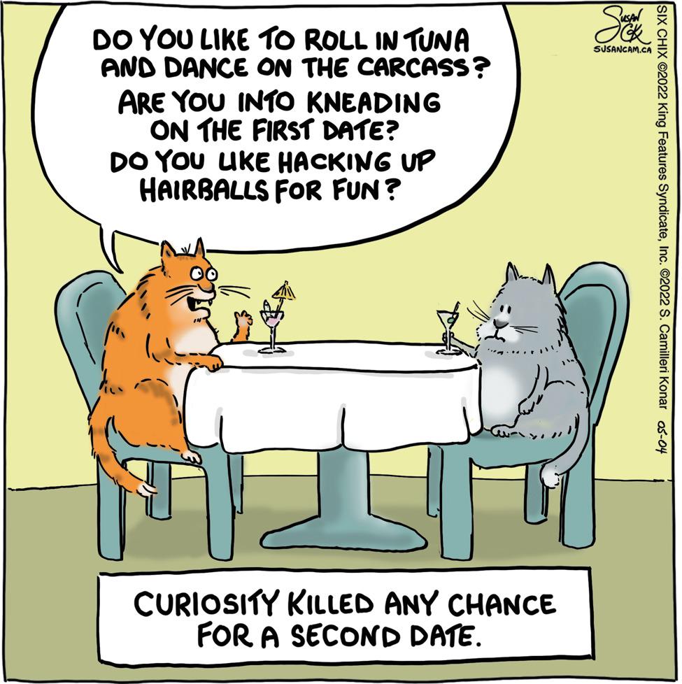 Adaptation OCR: DO YOU LIKE TO ROLL IN TUNA AND DANCE ON THE CARCASS? ARE YOU INTO KNEADING ON THE FIRST DATE? DO YOU UKE HACKING UP HAIRBALLS FOR FUN ? SUSANCAM.CA CURIOSITY KILLED ANY CHANCE FOR A SECOND DATE. SiX CHIX ©2022 King Features SyndicateInc. ©2022 S. Camilleri Konar os-04 DO YOU LIKE TO ROLL IN TUNA AND DANCE ON THE CARCASS? ARE YOU INTO KNEADING ON THE FIRST DATE? DO YOU UKE HACKING UP HAIRBALLS FOR FUN ? SUSANCAM.CA CURIOSITY KILLED ANY CHANCE FOR A SECOND DATE. SiX CHIX ©2022 King Features SyndicateInc. ©2022 S. Camilleri Konar os-04