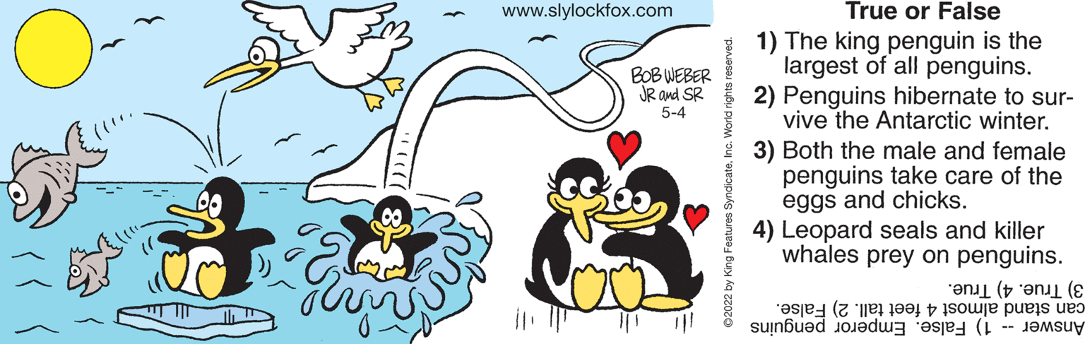 Yellow OCR: www.slylockfox.com True or False 1) The king penguin is the largest of all penguins. 2) Penguins hibernate to sur- vive the Antarctic winter. * 3) Both the male and female penguins take care of the eggs and chicks. 4) Leopard seals and killer whales prey on penguins. BOB WEBER JR and SR 5-4 3) True. can a 4 feet tall. 2) False. Answer alse. mperor penguins ©2022 by King Features SyndicateInc. www.slylockfox.com True or False 1) The king penguin is the largest of all penguins. 2) Penguins hibernate to sur- vive the Antarctic winter. * 3) Both the male and female penguins take care of the eggs and chicks. 4) Leopard seals and killer whales prey on penguins. BOB WEBER JR and SR 5-4 3) True. can a 4 feet tall. 2) False. Answer alse. mperor penguins ©2022 by King Features Syndicate