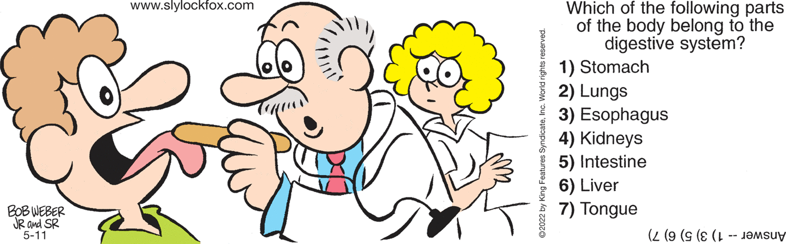 Sharing OCR: www.slylockfox.com Which of the following parts of the body belong to the digestive system? 1) Stomach 2) Lungs 3) Esophagus 4) Kidneys 5) Intestine 6) Liver 7) Tongue BOB WEBER JR and SR 5-11 Answer -- 1) 3) 5)6)7) www.slylockfox.com Which of the following parts of the body belong to the digestive system? 1) Stomach 2) Lungs 3) Esophagus 4) Kidneys 5) Intestine 6) Liver 7) Tongue BOB WEBER JR and SR 5-11 Answer -- 1) 3) 5)6)7)