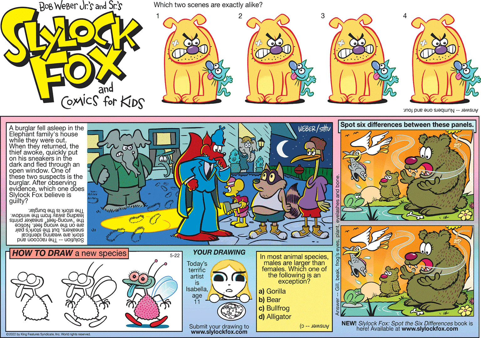 Font OCR: Bob Weber Jr.'s LYLOCK FOX COMICS FOR KIDS A burglar fell asleep in the Elephant family's house while they were out. When they returnedthe thief awokequickly put on his sneakers in the dark and fled through an open window. One of these two suspects is the burglar. After observing evidencewhich one do th one does Slylock Fox believe is guilty? ering og se o om a wewe upe stud jeres e-Bucumeui be a to DI PURAM BIR XIDIS put u HOW TO DRAW a new species 5-22 YOUR DRAWING Today's terrific artist is Isabellaage 11 Submit your drawing to www.slylockfox.com WEBER/stu GO In most animal speciesmales are larger than females. Which one of the following is an exception? a) Gorilla b) Bear c) Bullfrog d) Alligator ( Spot six differences between these panels. NEW! Slylock Fox: Spot the Six Differences book is here! Available at www.slylockfox.com Bob Weber Jr.'s LYLOCK FOX COMICS FOR KIDS A burglar fell asleep in the Elephant family's house while they were out . When they returnedthe thief awokequickly put on his sneakers in the dark and fled through an open window . One of these two suspects is the burglar . After observing evidencewhich one do th one does Slylock Fox believe is guilty ? ering og se o om a wewe upe stud jeres e - Bucumeui be a to DI PURAM BIR XIDIS put u HOW TO DRAW a new species 5-22 YOUR DRAWING Today's terrific artist is Isabellaage 11 Submit your drawing to www.slylockfox.com WEBER / stu GO In most animal speciesmales are larger than females . Which one of the following is an exception ? a ) Gorilla b ) Bear c ) Bullfrog d ) Alligator ( Spot six differences between these panels . NEW ! Slylock Fox : Spot the Six Differences book is here ! Available at www.slylockfox.com