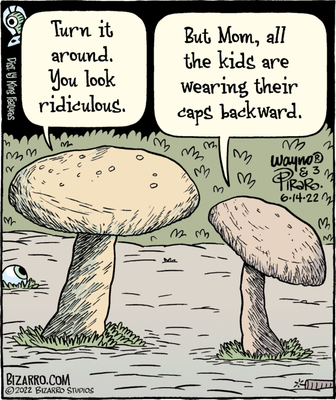 Illustration OCR: Dist.ly King Features ??? Turn it around. You look ridiculous. M BIZARRO.COM m 2022 BIZARRO STUDIOS m But Momall the kids are wearing their caps backward. m Im Wayno? M & 3 PIRARO. 6.14.223 M m m M2 Dist.ly King Features ??? Turn it around . You look ridiculous . M BIZARRO.COM m 2022 BIZARRO STUDIOS m But Momall the kids are wearing their caps backward . m Im Wayno? M & 3 PIRARO . 6.14.223 M m m M2