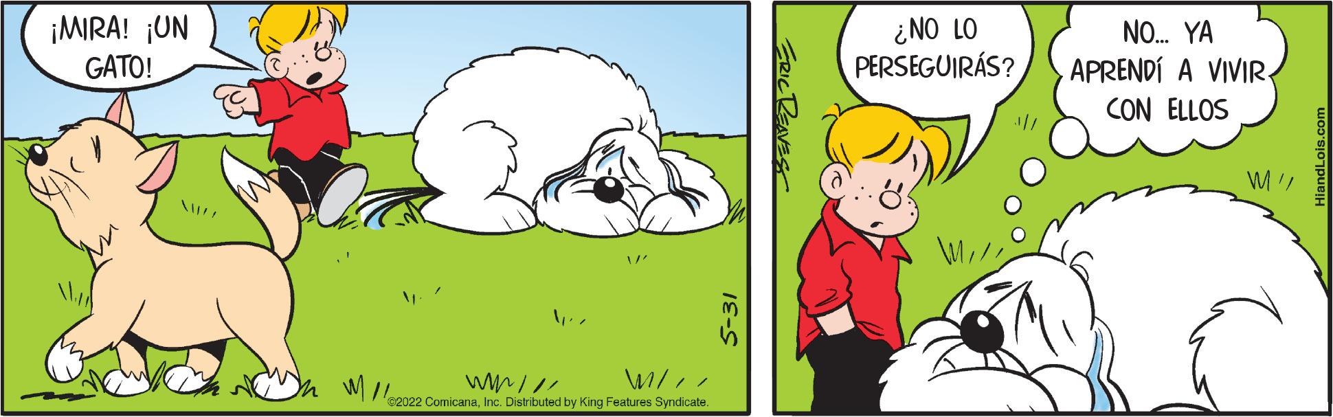 Happy OCR: ¡MIRA! ¡UN GATO! /" W// 2022 ComicanaInc. Distributed by King Features Syndicate. 5-31 ¿NO LO PERSEGUIRÁS? NO... YA APRENDÍ A VIVIR. CON ELLOS M/ ¡ MIRA ! ¡ UN GATO ! / " W // 2022 ComicanaInc. Distributed by King Features Syndicate . 5-31 ¿ NO LO PERSEGUIRÁS ? NO ... YA APRENDÍ A VIVIR . CON ELLOS M /