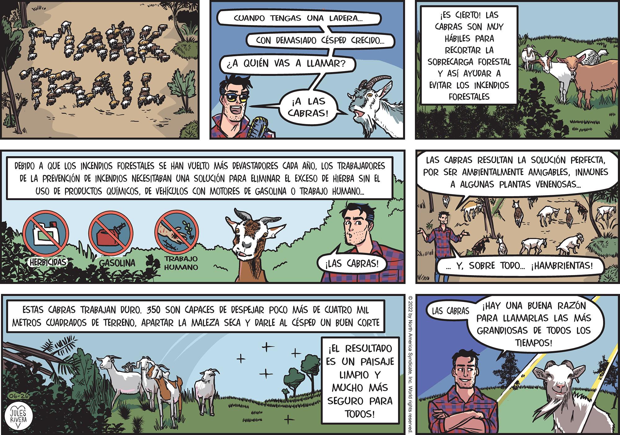 People OCR: CUANDO TENGAS UNA LADERA. ¡ES CIERTO! LAS CABRAS SON MUY HÁBILES PARA ¿A QUIÉN VAS A LLAMAR? RECORTAR LA SOBRECARGA FORESTAL Y ASÍ AYUDAR A EVITAR LOS INCENDIOS FORESTALES ¡A LAS CABRAS! Mild www DEBIDO A QUE LOS INCENDIOS FORESTALES SE HAN VUELTO MÁS DEVASTADORES CADA AÑOLOS TRABAJADORES DE LA PREVENCIÓN DE INCENDIOS NECESITABAN UNA SOLUCIÓN PARA ELIMINAR EL EXCESO DE HIERBA SIN EL USO DE PRODUCTOS QUÍMICOSDE VEHÍCULOS CON MOTORES DE GASOLINA O TRABAJO HUMANO.... LAS CABRAS RESULTAN LA SOLUCIÓN PERFECTAINMUNES A ALGUNAS PLANTAS VENENOSAS... N HERBICIDAS GASOLINA TRABAJO HUMANO ¡LAS CABRAS! .... Y. SOBRE TODO... ¡HAMBRIENTAS! VI ESTAS CABRAS TRABAJAN DURO. 350 SON CAPACES DE DESPEJAR POCO MÁS DE CUATRO MIL METROS CUADRADOS DE TERRENOAPARTAR LA MALEZA SECA Y DARLE AL CÉSPED UN BUEN CORTE LAS CABRAS ¡HAY UNA BUENA RAZÓN PARA LLAMARLAS LAS MÁS GRANDIOSAS DE TODOS LOS TIEMPOS! + ¡EL RESULTADO ES UN PAISAJE LIMPIO Y MUCHO MÁS SEGURO PARA TODOS! 06-26 JULES ww RIVERA M CON DEMASIADO CÉSPED CRECIDO.... + CUANDO TENGAS UNA LADERA . ¡ ES CIERTO ! LAS CABRAS SON MUY HÁBILES PARA ¿ A QUIÉN VAS A LLAMAR ? RECORTAR LA SOBRECARGA FORESTAL Y ASÍ AYUDAR A EVITAR LOS INCENDIOS FORESTALES ¡ A LAS CABRAS ! Mild www DEBIDO A QUE LOS INCENDIOS FORESTALES SE HAN VUELTO MÁS DEVASTADORES CADA AÑOLOS TRABAJADORES DE LA PREVENCIÓN DE INCENDIOS NECESITABAN UNA SOLUCIÓN PARA ELIMINAR EL EXCESO DE HIERBA SIN EL USO DE PRODUCTOS QUÍMICOSDE VEHÍCULOS CON MOTORES DE GASOLINA O TRABAJO HUMANO .... LAS CABRAS RESULTAN LA SOLUCIÓN PERFECTAPOR SER AMBIENTALMENTE AMIGABLESINMUNES A ALGUNAS PLANTAS VENENOSAS ... N HERBICIDAS GASOLINA TRABAJO HUMANO ¡ LAS CABRAS ! .... Y. SOBRE TODO ... ¡ HAMBRIENTAS ! VI ESTAS CABRAS TRABAJAN DURO . 350 SON CAPACES DE DESPEJAR POCO MÁS DE CUATRO MIL METROS CUADRADOS DE TERRENOAPARTAR LA MALEZA SECA Y DARLE AL CÉSPED UN BUEN CORTE LAS CABRAS ¡ HAY UNA BUENA RAZÓN PARA LLAMARLAS LAS MÁS GRANDIOSAS DE TODOS LOS TIEMPOS ! + ¡ EL RESULTADO ES UN PAISAJE LIMPIO Y MUCHO MÁS SEGURO PARA TODOS ! 06-26 JULES ww RIVERA M CON DEMASIADO CÉSPED CRECIDO .... +