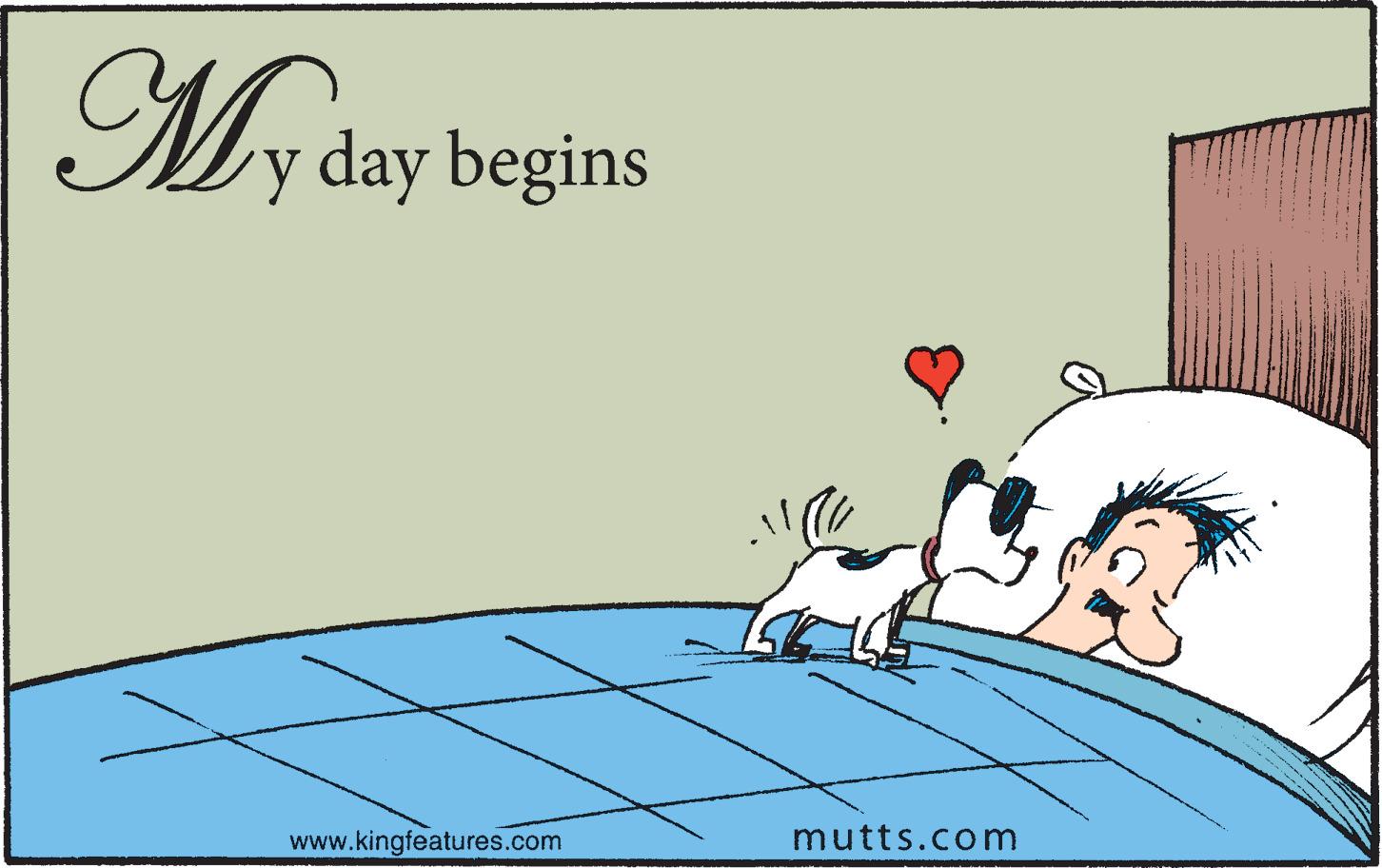 Art OCR: My day begins www.kingfeatures.com mutts.com My day begins www.kingfeatures.com mutts.com