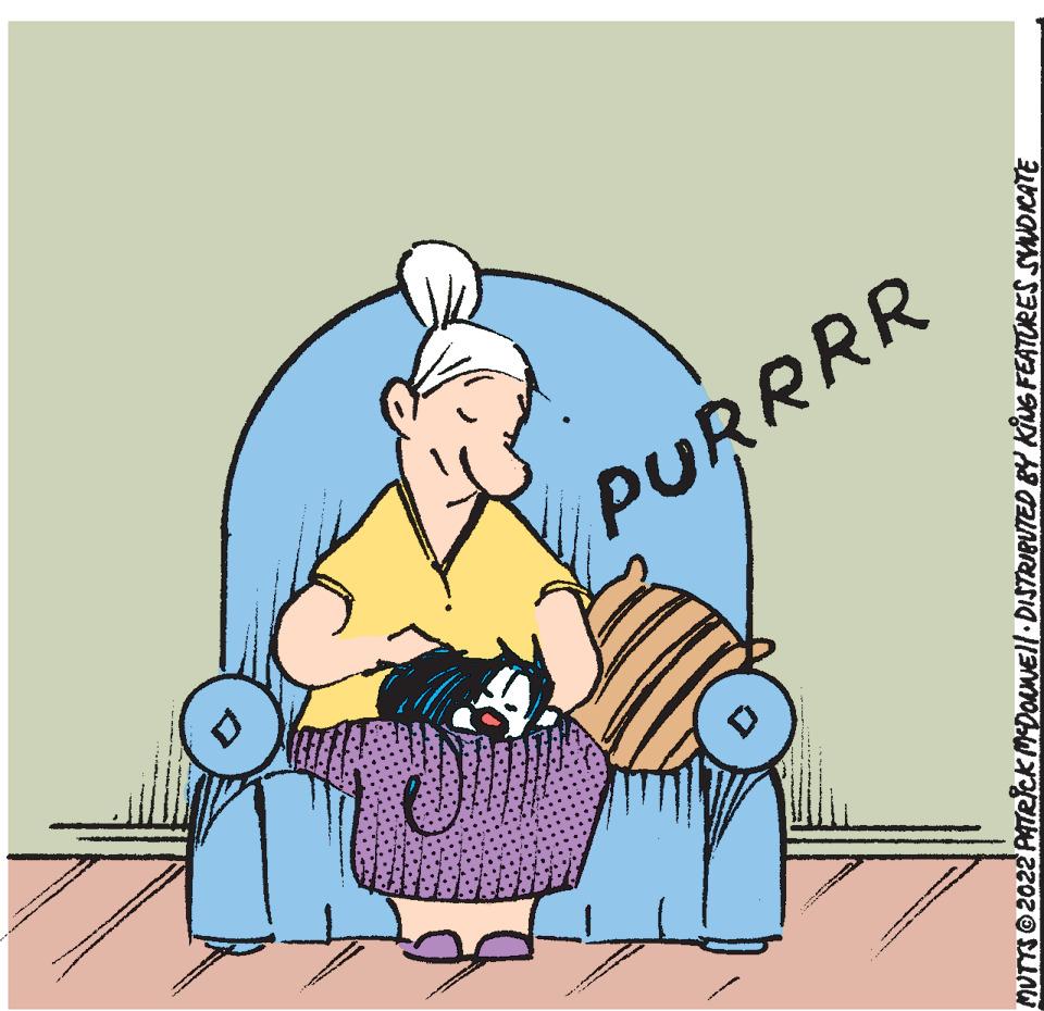 Art OCR: PURRRR MUTTS 2022 PATRICK MCDONNE||· DISTRIBUTED BY KING FEATURES SYNDICATE PURRRR MUTTS 2022 PATRICK MCDONNE || · DISTRIBUTED BY KING FEATURES SYNDICATE