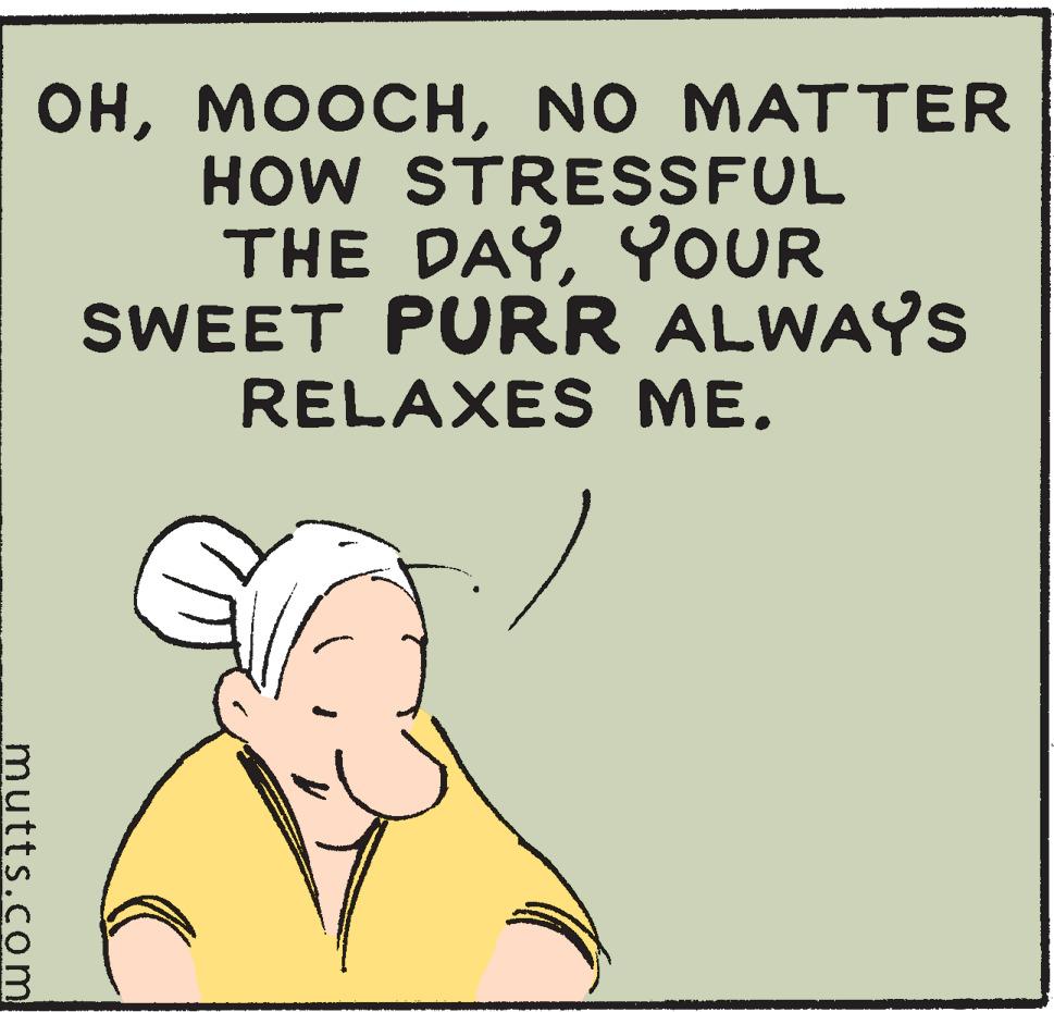 Illustration OCR: mutts.com OHNO MATTER HOW STRESSFUL THE DAYYOUR SWEET PURR ALWAYS RELAXES ME. mutts.com OHNO MATTER HOW STRESSFUL THE DAYYOUR SWEET PURR ALWAYS RELAXES ME .