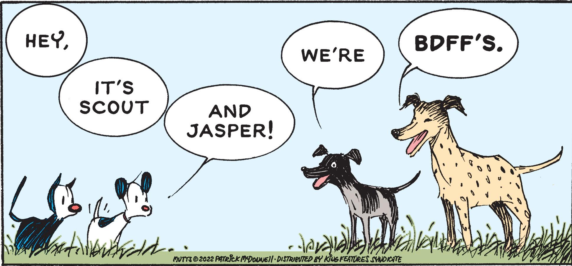 Carnivore OCR: HEYIT'S SCOUT build. Eld.. WE'RE AND JASPER! ?? r MUTTS 2022 PATRICK MCDONNEL DISTRIBUTED BY KIUS FEATURES SYNDICATE BDFF'S. HEYIT'S SCOUT build . Eld .. WE'RE AND JASPER ! ?? r MUTTS 2022 PATRICK MCDONNEL DISTRIBUTED BY KIUS FEATURES SYNDICATE BDFF'S .