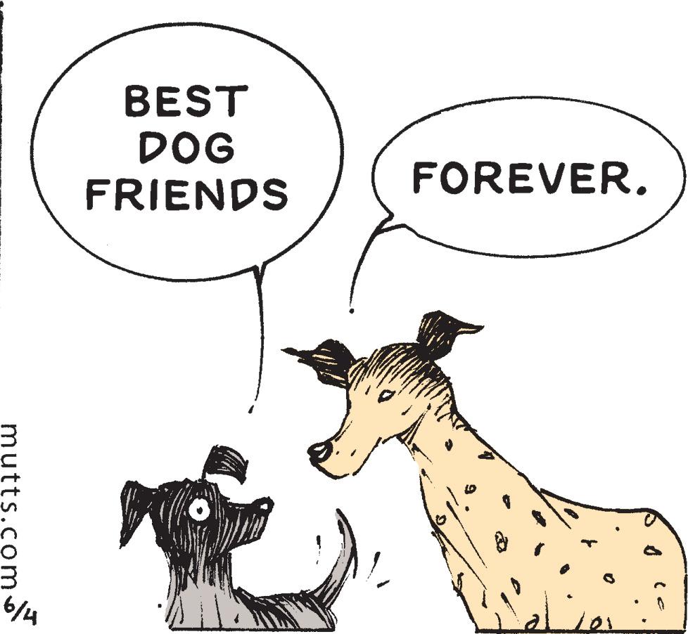Working animal OCR: mutts.com 6/4 BEST DOG FRIENDS FOREVER. mutts.com 6/4 BEST DOG FRIENDS FOREVER .