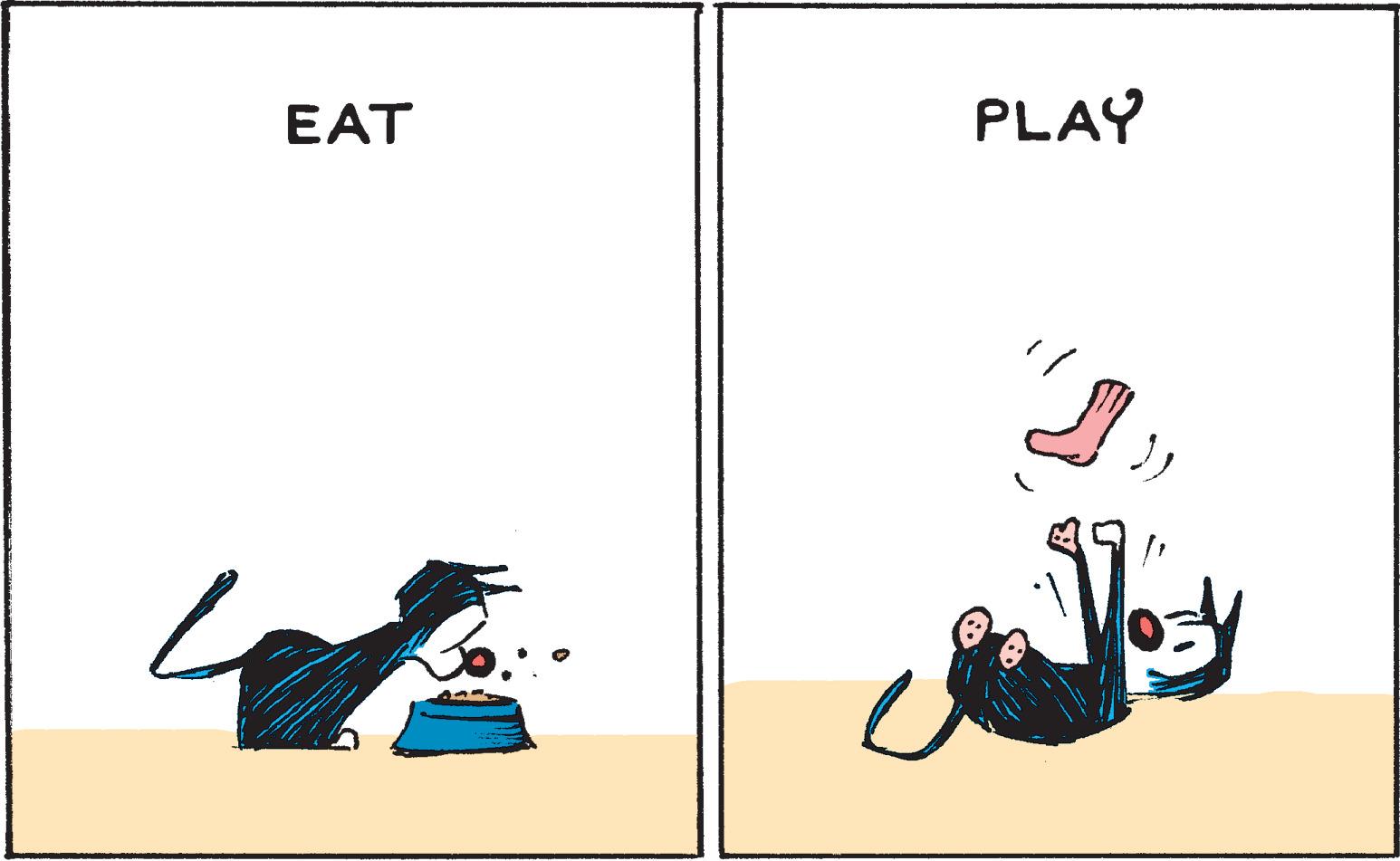 Carmine OCR: EAT w PLAY EAT w PLAY