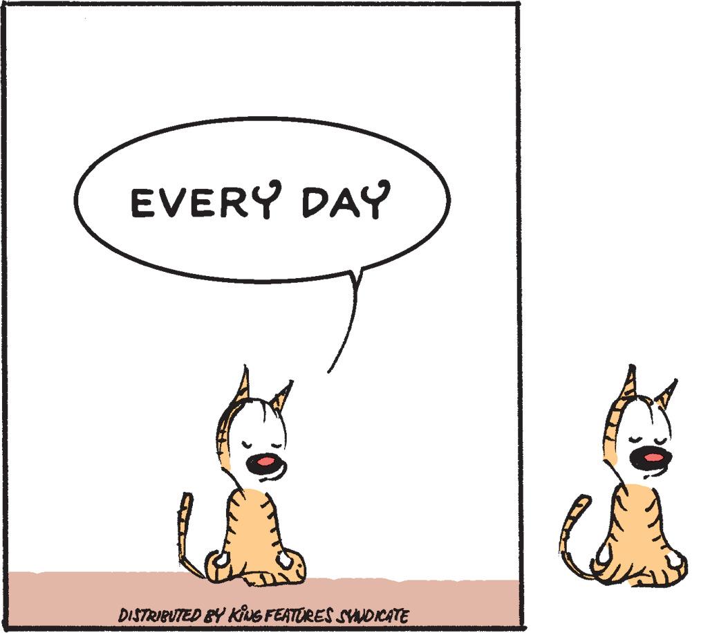 Rectangle OCR: EVERY DAY 6 DISTRIBUTED BY KING FEATURES SYNDICATE EVERY DAY 6 DISTRIBUTED BY KING FEATURES SYNDICATE