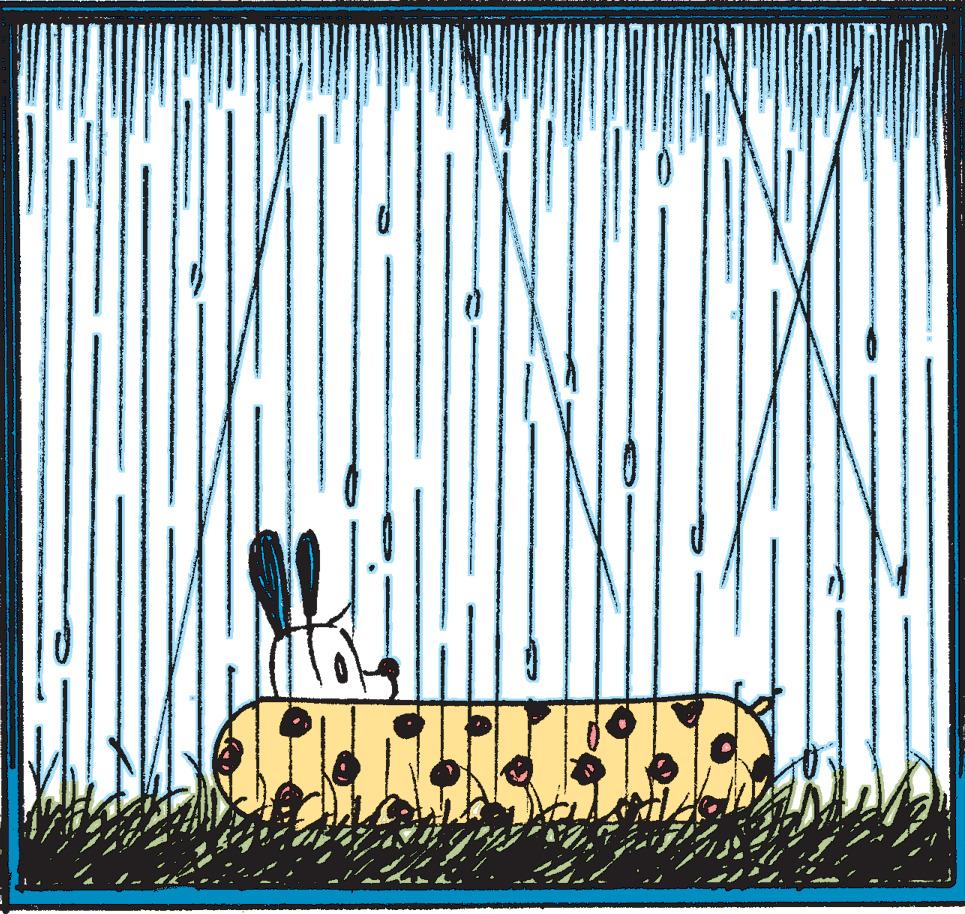 Mutts - Part 2 - 2022-06-25