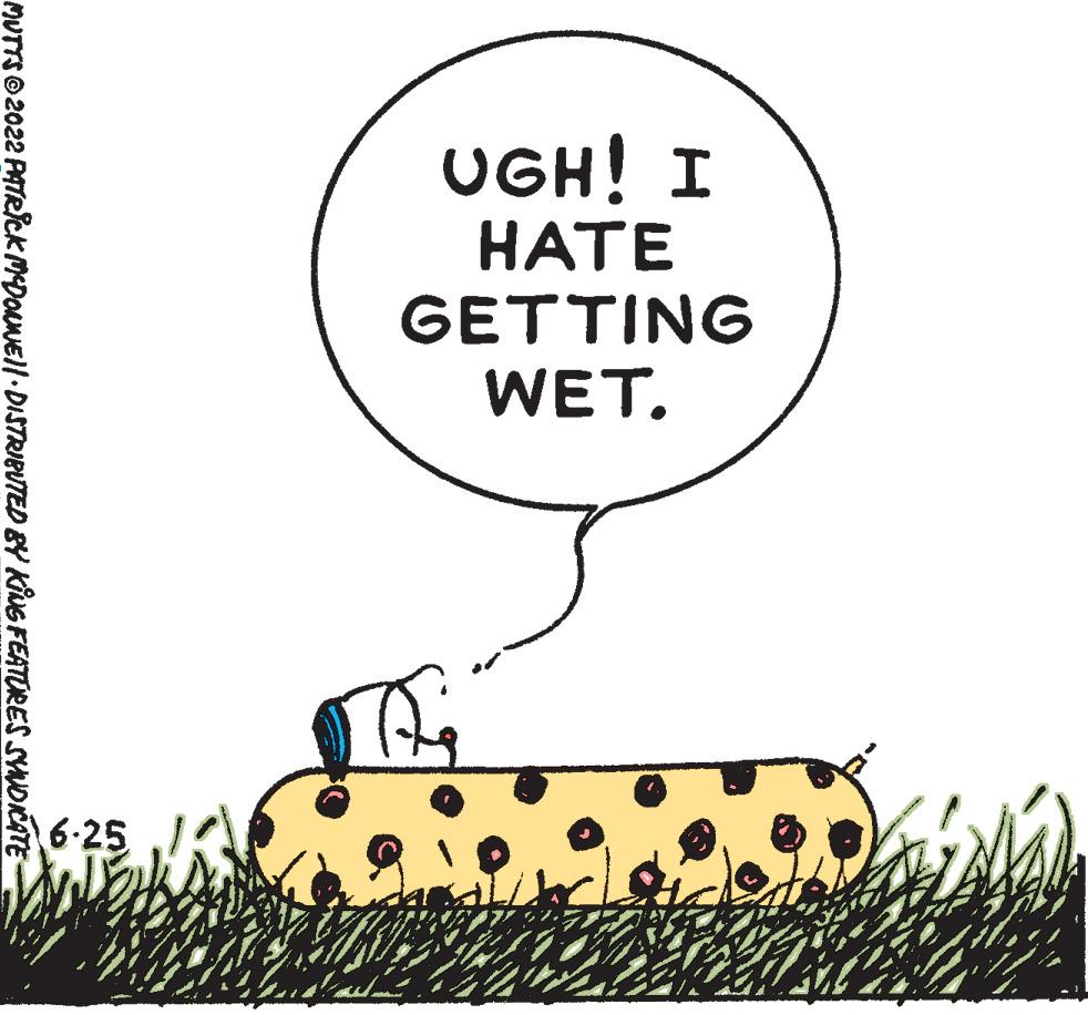 Illustration OCR: UGH! I HATE GETTING WET. 797-9 MUTTS 2022 PATRICK MCDONNEll · DISTRIBUTED BY KING FEATURES SYNDICATE- UGH ! I HATE GETTING WET . 797-9 MUTTS 2022 PATRICK MCDONNEll · DISTRIBUTED BY KING FEATURES SYNDICATE