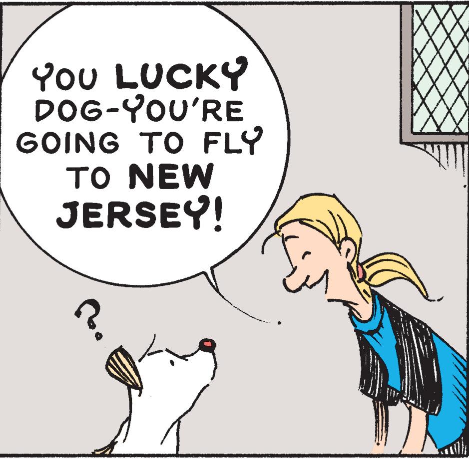 Font OCR: YOU LUCKY DOG-YOU'RE GOING TO FLY TO NEW JERSEY! ? YOU LUCKY DOG - YOU'RE GOING TO FLY TO NEW JERSEY ! ?