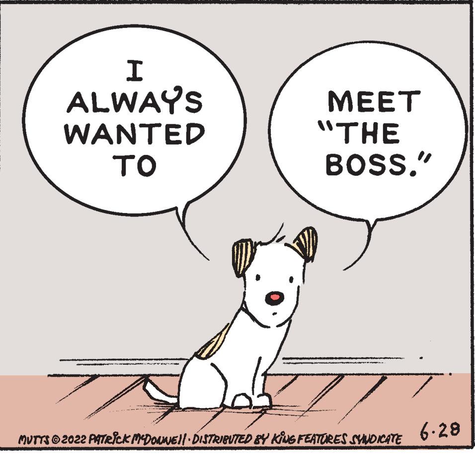 Happy OCR: I ALWAYS WANTED ?? MEET "THE BOSS." MUTTS © 2022 PATRICK MCDONWE!! · DISTRIBUTED BY KING FEATURES SYNDICATE 6.28 I ALWAYS WANTED ?? MEET " THE BOSS . " MUTTS © 2022 PATRICK MCDONWE !! · DISTRIBUTED BY KING FEATURES SYNDICATE 6.28
