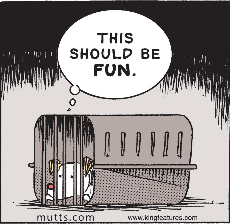 Art OCR: THIS SHOULD BE FUN. mutts.com [||||| www.kingfeatures.com THIS SHOULD BE FUN . mutts.com [ ||||| www.kingfeatures.com