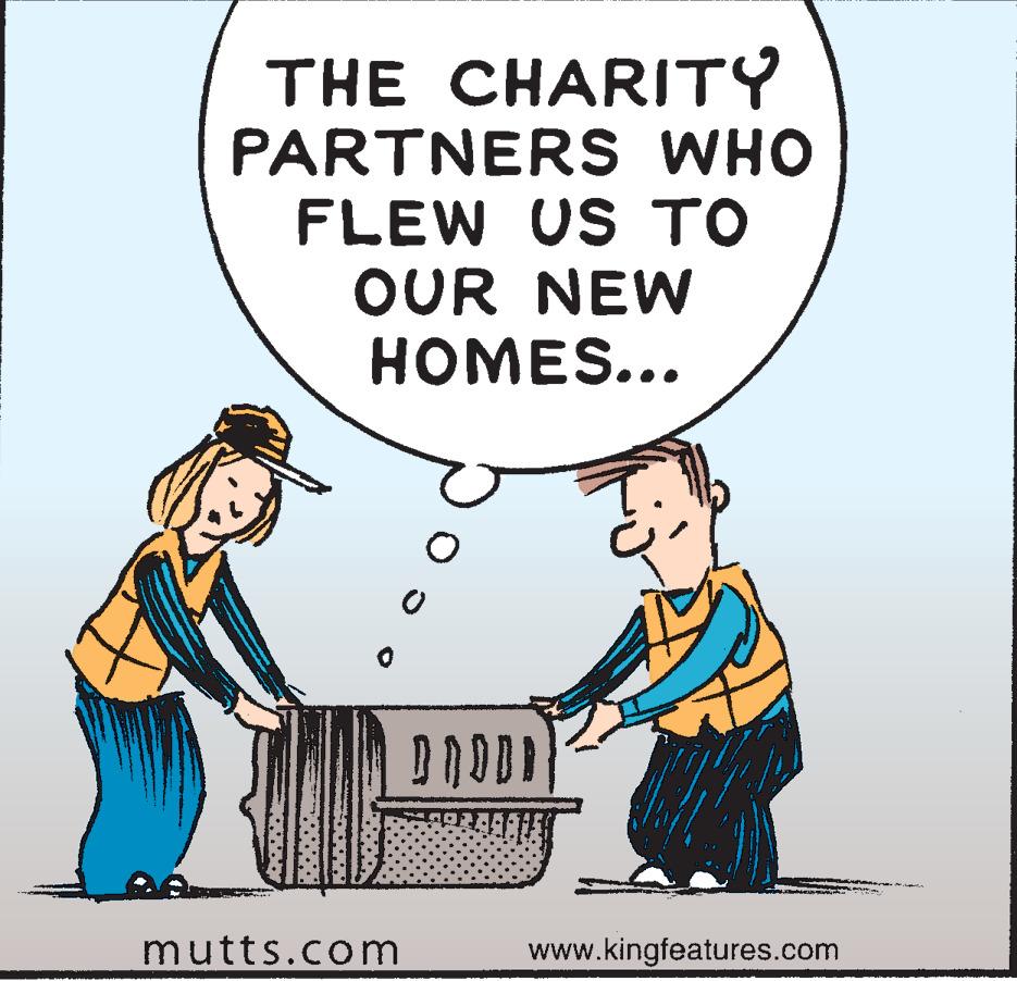 Art OCR: THE CHARITY PARTNERS WHO FLEW US TO OUR NEW HOMES... mutts.com BRODD www.kingfeatures.com wwwm THE CHARITY PARTNERS WHO FLEW US TO OUR NEW HOMES ... mutts.com BRODD www.kingfeatures.com wwwm