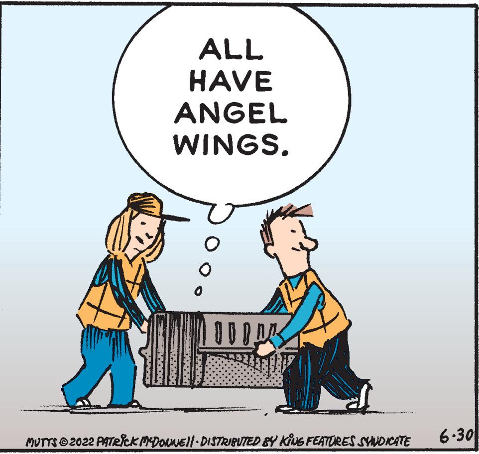 Art OCR: ALL HAVE ANGEL WINGS. MUTTS © 2022 PATRICK MCDONNE||· DISTRIBUTED BY KING FEATURES SYNDICATE 6.30 ALL HAVE ANGEL WINGS . MUTTS © 2022 PATRICK MCDONNE || · DISTRIBUTED BY KING FEATURES SYNDICATE 6.30