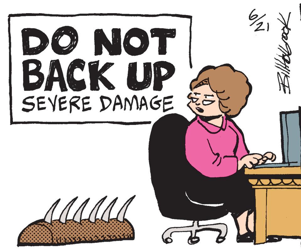 Poster OCR: DO NOT BACK UP SEVERE DAMAGE SE 6/21 Billabrook DO NOT BACK UP SEVERE DAMAGE SE 6/21 Billabrook