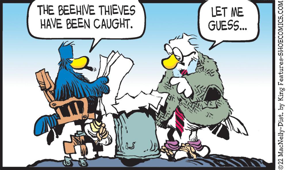 Line OCR: THE BEEHIVE THIEVES HAVE BEEN CAUGHT. LET ME GUESS... ?22 MacNelly-Dist. by King Features-SHOECOMICS.COM THE BEEHIVE THIEVES HAVE BEEN CAUGHT . LET ME GUESS ... ?22 MacNelly - Dist . by King Features-SHOECOMICS.COM