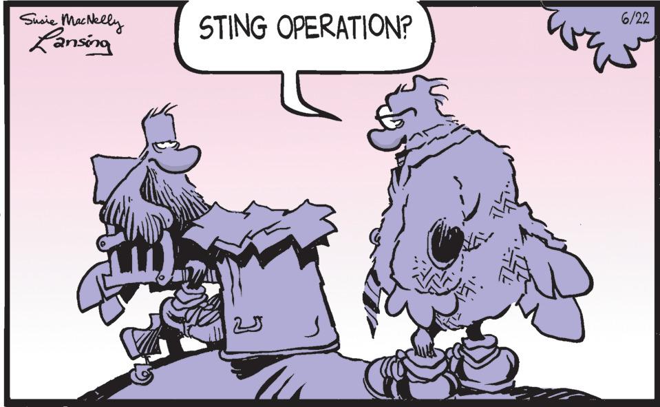 Art OCR: Susie MacNelly Lansing STING OPERATION? 6/22 Susie MacNelly Lansing STING OPERATION ? 6/22