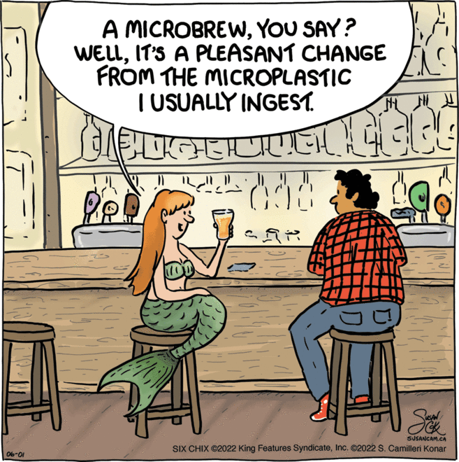 Illustration OCR: 06-01 A MICROBREWYOU SAY? WELLIT'S A PLEASANT CHANGE FROM THE MICROPLASTIC I USUALLY INGEST. 1130000 WIEL " Po! ????? ? RUSAN SUSANCAM.CA SIX CHIX ?2022 King Features SyndicateInc. ©2022 S. Camilleri Konar 098 SAR 06-01 A MICROBREWYOU SAY ? WELLIT'S A PLEASANT CHANGE FROM THE MICROPLASTIC I USUALLY INGEST . 1130000 WIEL " Po ! ????? ? RUSAN SUSANCAM.CA SIX CHIX ?2022 King Features SyndicateInc. © 2022 S. Camilleri Konar 098 SAR