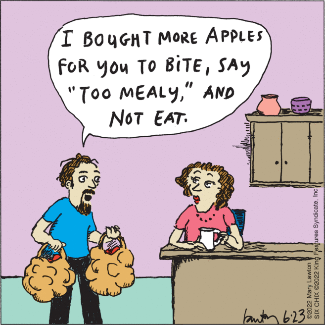 Art OCR: I BOUGHT MORE APPLES FOR YOU TO BITESAY "Too MEALY" AND NOT EAT. SIX CHIX ?2022 King Features SyndicateInc. ©2022 Mary Lawton bantan 6:23 I BOUGHT MORE APPLES FOR YOU TO BITESAY " Too MEALY" AND NOT EAT . SIX CHIX ?2022 King Features SyndicateInc. © 2022 Mary Lawton bantan 6:23