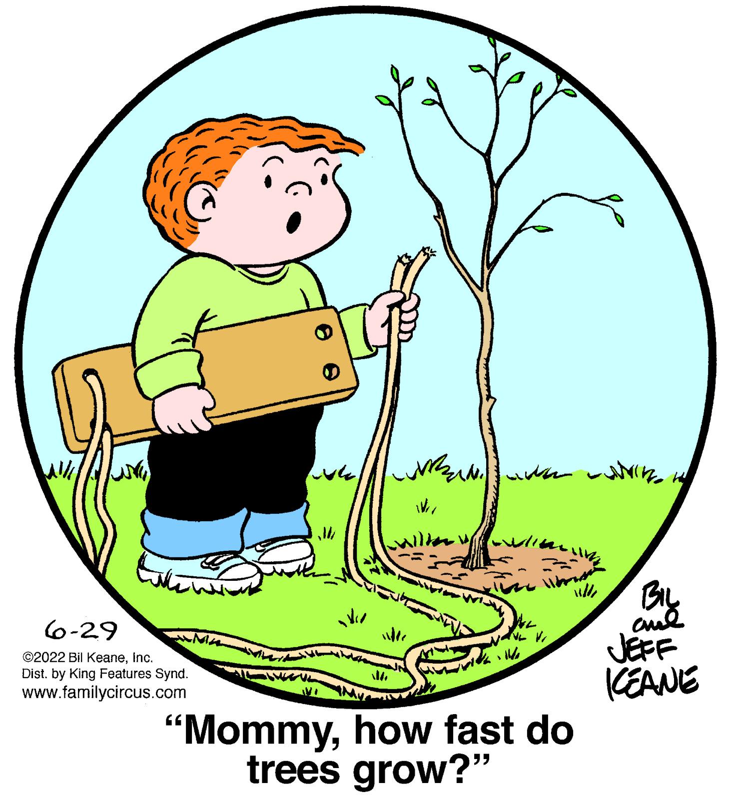 Happy OCR: 6-29 ©2022 Bil KeaneInc. Dist. by King Features Synd. www.familycircus.com wh 14/ ho Hd ??????? | V W2 My "Mommyhow fast do trees grow?" wilde BIL amal JEFF KEANE 6-29 © 2022 Bil KeaneInc. Dist . by King Features Synd . www.familycircus.com wh 14 / ho Hd ??????? | V W2 My " Mommyhow fast do trees grow ? " wilde BIL amal JEFF KEANE