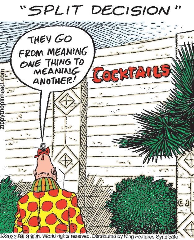 Drawing OCR: zippythepinhead.com "SPLIT DECISION THEY GO FROM MEANING ONE THING TO MEANING ANOTHER COCKTAILS 92022 Bill Griffith. World rights reserved. Distributed by King Features Syndicate zippythepinhead.com " SPLIT DECISION THEY GO FROM MEANING ONE THING TO MEANING ANOTHER COCKTAILS 92022 Bill Griffith . World rights reserved . Distributed by King Features Syndicate