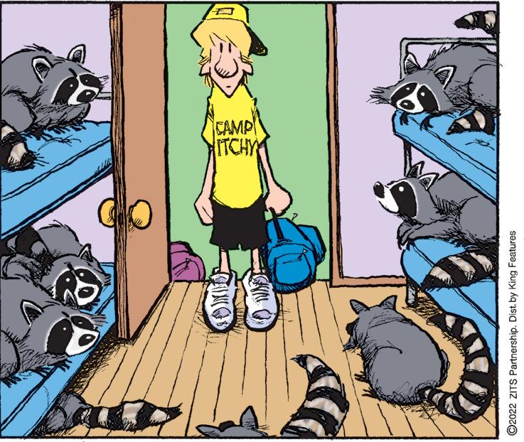 Comic book OCR: For WNE ?2022 ZITS Partnership. Dist. by King Features CAMP For WNE ?2022 ZITS Partnership . Dist . by King Features CAMP