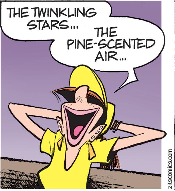 Smile OCR: THE TWINKLING STARS... THE PINE-SCENTED AIR... zitscomics.com THE TWINKLING STARS ... THE PINE - SCENTED AIR ... zitscomics.com