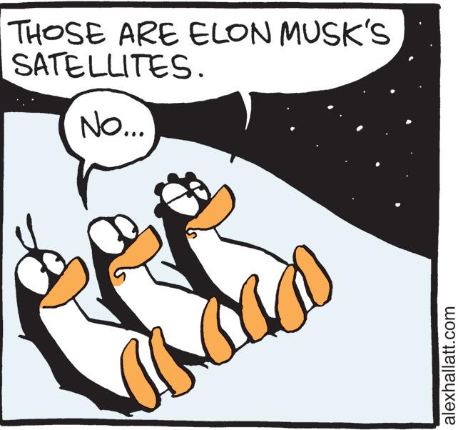 Thumb OCR: THOSE ARE ELON MUSK'S SATELLITES. No... alexhallatt.com THOSE ARE ELON MUSK'S SATELLITES . No ... alexhallatt.com