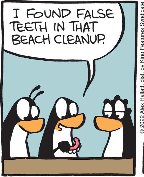 Art OCR: BEACH CLEANUP. TEETH IN THAT I FOUND FALSE © 2022 Alex Hallattdist. by King Features Syndicate BEACH CLEANUP . TEETH IN THAT I FOUND FALSE © 2022 Alex Hallattdist . by King Features Syndicate