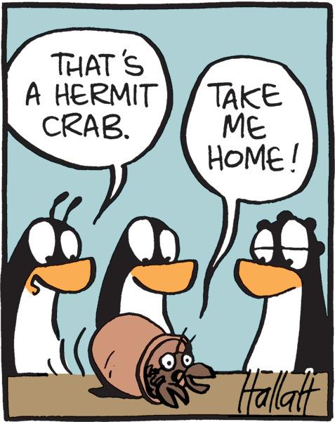 Font OCR: THAT'S A HERMIT CRAB. TAKE ME HOME! Hallatt THAT'S A HERMIT CRAB . TAKE ME HOME ! Hallatt