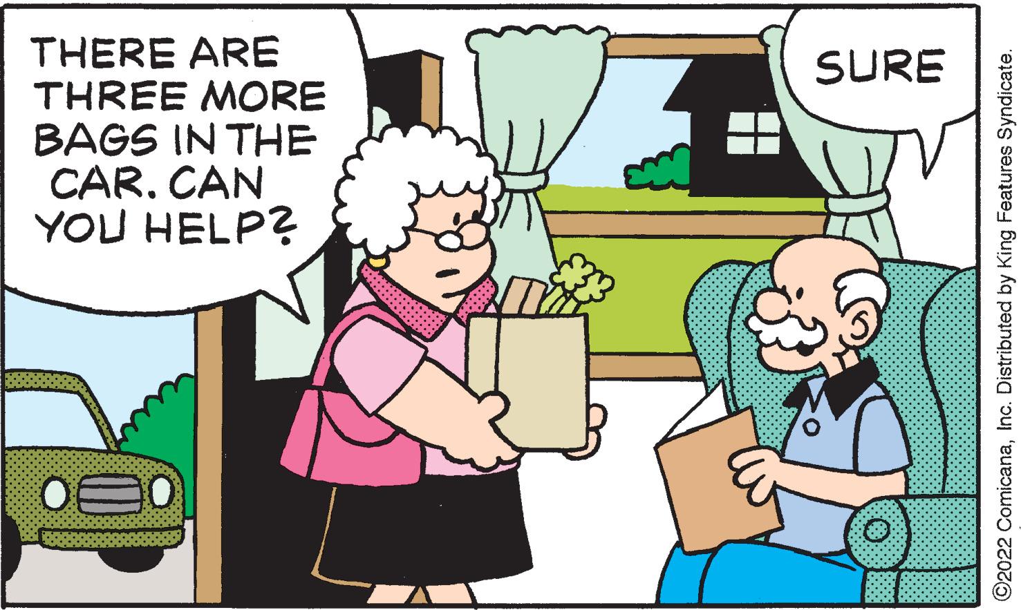 Mode of transport OCR: THERE ARE THREE MORE BAGS IN THE CAR. CAN YOU HELP? SURE ©2022 ComicanaInc. Distributed by King Features Syndicate. THERE ARE THREE MORE BAGS IN THE CAR . CAN YOU HELP ? SURE © 2022 ComicanaInc. Distributed by King Features Syndicate .