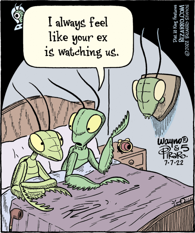 Drawing OCR: I always feel like your ex is watching us. ? Dist. by King Features BIZARRO.COM ?2022 BIZARRO STUDIOS Wayno? 987.7.22 *Omm I always feel like your ex is watching us . ? Dist . by King Features BIZARRO.COM ?2022 BIZARRO STUDIOS Wayno? 987.7.22 * Omm