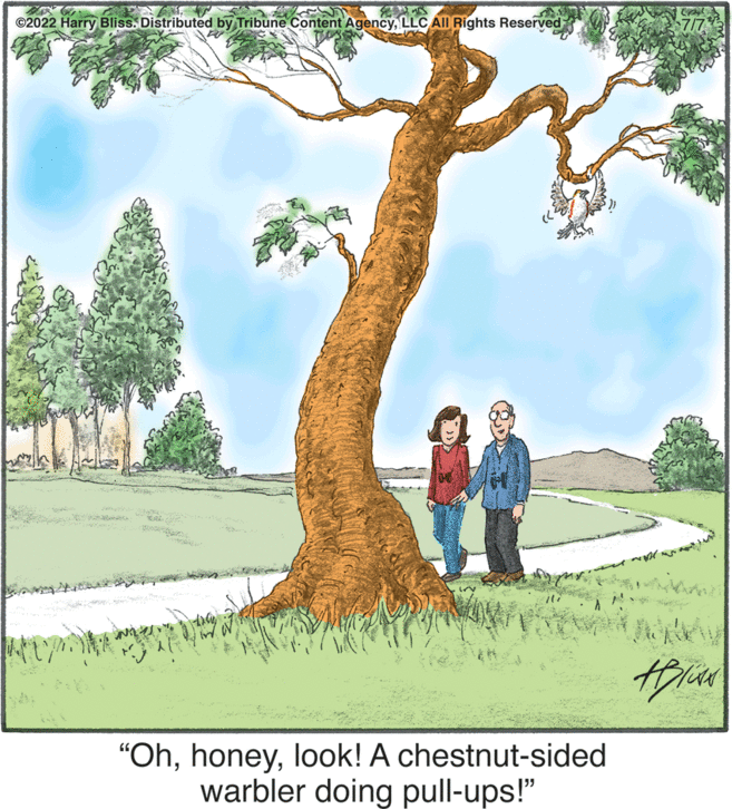 Natural landscape OCR: 45. T ©2022 Harry Bliss. Distributed by Tribune Content AgencyLLC All Rights Reserved EP "Ohlook! A chestnut-sided warbler doing pull-ups!" w Ceyl 7/7 #Blu 45 . T © 2022 Harry Bliss . Distributed by Tribune Content AgencyLLC All Rights Reserved EP " Ohlook ! A chestnut - sided warbler doing pull - ups ! " w Ceyl 7/7 #Blu