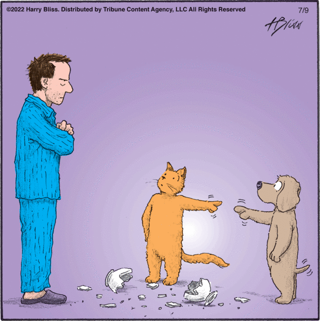 Cat OCR: ©2022 Harry Bliss. Distributed by Tribune Content AgencyLLC All Rights Reserved S 7/9 AICAN © 2022 Harry Bliss . Distributed by Tribune Content AgencyLLC All Rights Reserved S 7/9 AICAN
