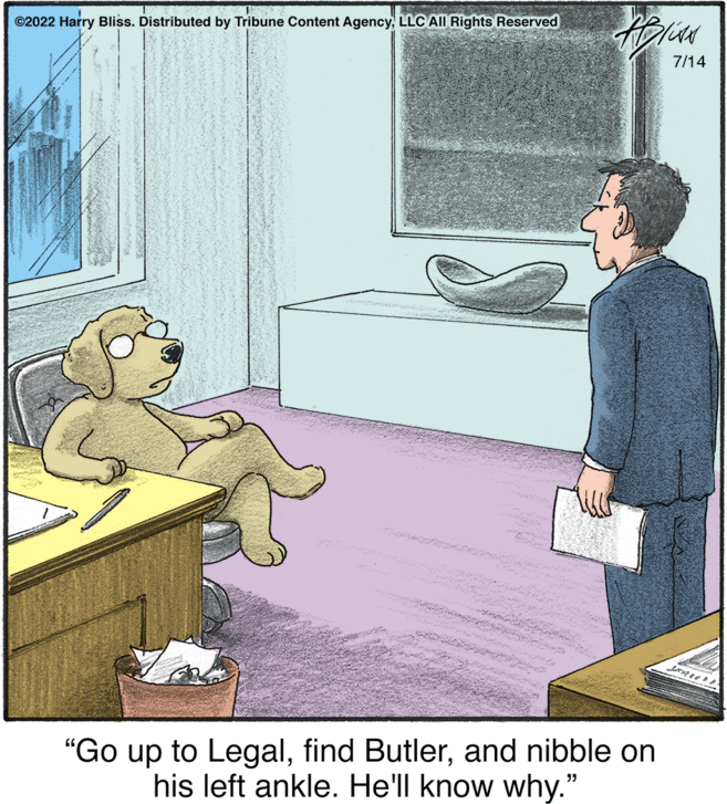 Painting OCR: ?2022 Harry Bliss. Distributed by Tribune Content AgencyLLC All Rights Reserved W "Go up to Legaland nibble on his left ankle. He'll know why." 7/14 ?2022 Harry Bliss . Distributed by Tribune Content AgencyLLC All Rights Reserved W " Go up to Legalfind Butlerand nibble on his left ankle . He'll know why . " 7/14
