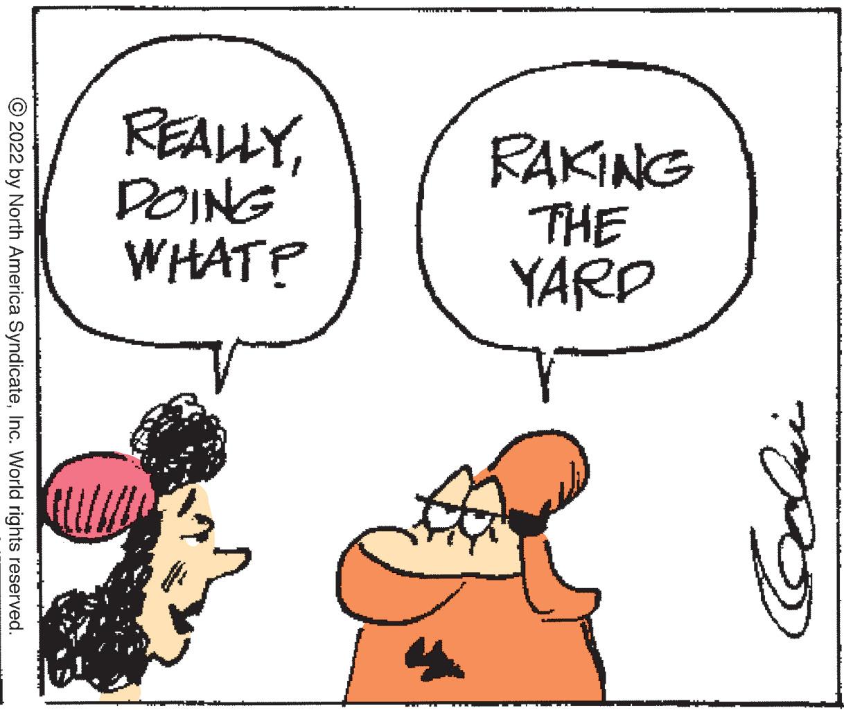 Mammal OCR: RAKING THE YARD REALLYDOING WHAT? ?2022 by North America SyndicateInc. World rights reserved. degli stati RAKING THE YARD REALLYDOING WHAT ? ?2022 by North America SyndicateInc. World rights reserved . degli stati