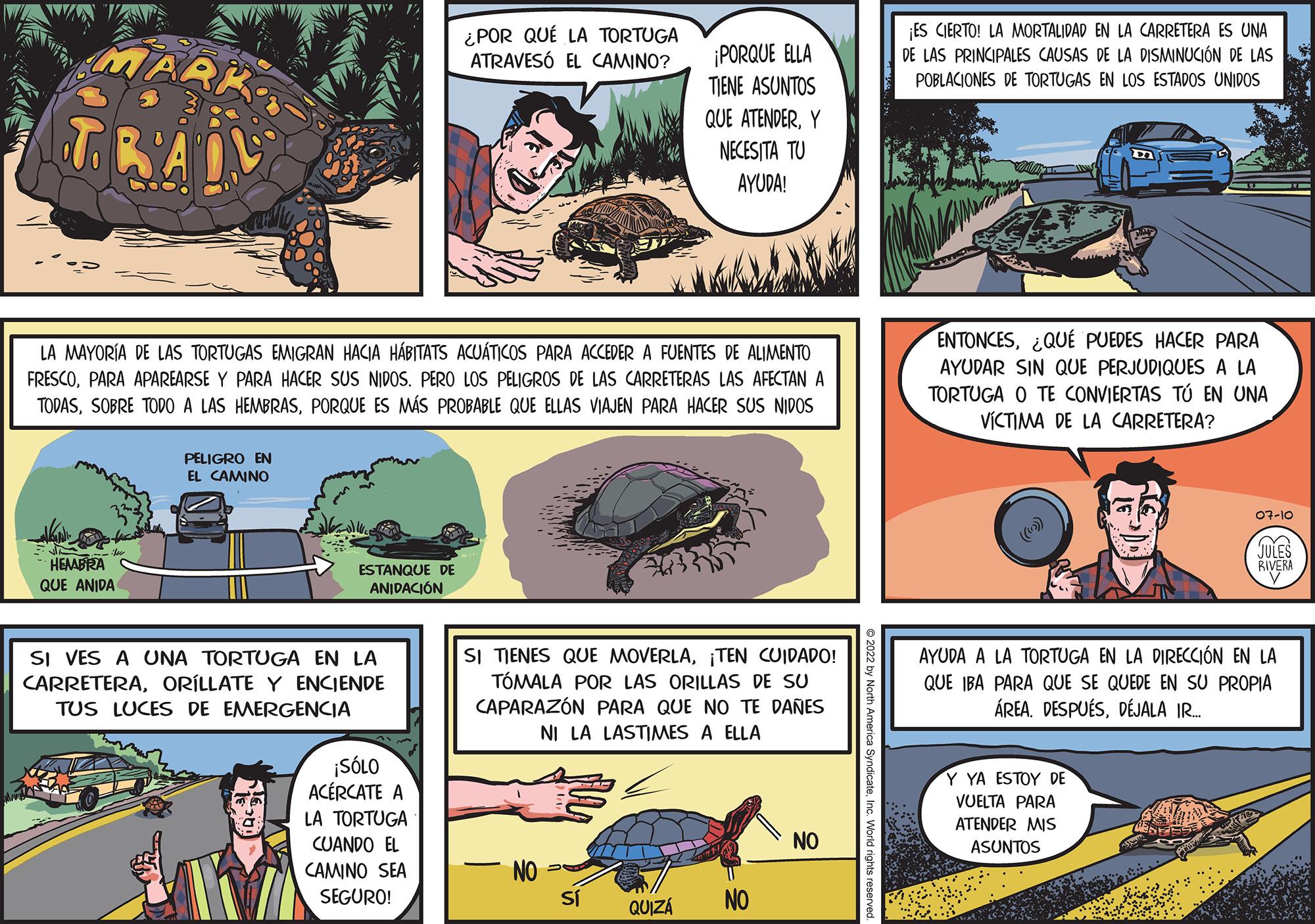 Font OCR: HEMABRA QUE ANIDA LA MAYORÍA DE LAS TORTUGAS EMIGRAN HACIA HÁBITATS ACUÁTICOS PARA ACCEDER A FUENTES DE ALIMENTO FRESCOPARA APAREARSE Y PARA HACER SUS NIDOS. PERO LOS PELIGROS DE LAS CARRETERAS LAS AFECTAN A TODASPORQUE ES MÁS PROBABLE QUE ELLAS VIAJEN PARA HACER SUS NIDOS PELIGRO EN EL CAMINO ESTANQUE DE ANIDACIÓN SI VES A UNA TORTUGA EN LA CARRETERAORILLATE Y ENCIENDE TUS LUCES DE EMERGENCIA ¡SÓLO ACERCATE A ¿POR QUÉ LA TORTUGA ATRAVESÓ EL CAMINO? LA TORTUGA CUANDO EL CAMINO SEA SEGURO! ¡PORQUE ELLA TIENE ASUNTOS QUE ATENDERY NECESITA TU AYUDA! SI TIENES QUE MOVERLA¡TEN CUIDADO! TÓMALA POR LAS ORILLAS DE SU CAPARAZÓN PARA QUE NO TE DAÑES NI LA LASTIMES A ELLA NO Sí QUIZÁ NO NO ¡ES CIERTO! LA MORTALIDAD EN LA CARRETERA ES UNA DE LAS PRINCIPALES CAUSAS DE LA DISMINUCIÓN DE LAS POBLACIONES DE TORTUGAS EN LOS ESTADOS UNIDOS ENTONCES¿QUÉ PUEDES HACER PARA AYUDAR SIN QUE PERJUDIQUES A LA TORTUGA O TE CONVIERTAS TÚ EN UNA VÍCTIMA DE LA CARRETERA? 07-10 Y YA ESTOY DE VUELTA PARA ATENDER MIS ASUNTOS JULES RIVERA AYUDA A LA TORTUGA EN LA DIRECCIÓN EN LA QUE IBA PARA QUE SE QUEDE EN SU PROPIA ÁREA. DESPUÉSDÉJALA IR.... HEMABRA QUE ANIDA LA MAYORÍA DE LAS TORTUGAS EMIGRAN HACIA HÁBITATS ACUÁTICOS PARA ACCEDER A FUENTES DE ALIMENTO FRESCOPARA APAREARSE Y PARA HACER SUS NIDOS . PERO LOS PELIGROS DE LAS CARRETERAS LAS AFECTAN A TODASSOBRE TODO A LAS HEMBRASPORQUE ES MÁS PROBABLE QUE ELLAS VIAJEN PARA HACER SUS NIDOS PELIGRO EN EL CAMINO ESTANQUE DE ANIDACIÓN SI VES A UNA TORTUGA EN LA CARRETERAORILLATE Y ENCIENDE TUS LUCES DE EMERGENCIA ¡ SÓLO ACERCATE A ¿ POR QUÉ LA TORTUGA ATRAVESÓ EL CAMINO ? LA TORTUGA CUANDO EL CAMINO SEA SEGURO ! ¡ PORQUE ELLA TIENE ASUNTOS QUE ATENDERY NECESITA TU AYUDA ! SI TIENES QUE MOVERLA¡ TEN CUIDADO ! TÓMALA POR LAS ORILLAS DE SU CAPARAZÓN PARA QUE NO TE DAÑES NI LA LASTIMES A ELLA NO Sí QUIZÁ NO NO ¡ ES CIERTO ! LA MORTALIDAD EN LA CARRETERA ES UNA DE LAS PRINCIPALES CAUSAS DE LA DISMINUCIÓN DE LAS POBLACIONES DE TORTUGAS EN LOS ESTADOS UNIDOS ENTONCES¿ QUÉ PUEDES HACER PARA AYUDAR SIN QUE PERJUDIQUES A LA TORTUGA O TE CONVIERTAS TÚ EN UNA VÍCTIMA DE LA CARRETERA ? 07-10 Y YA ESTOY DE VUELTA PARA ATENDER MIS ASUNTOS JULES RIVERA AYUDA A LA TORTUGA EN LA DIRECCIÓN EN LA QUE IBA PARA QUE SE QUEDE EN SU PROPIA ÁREA . DESPUÉSDÉJALA IR ....