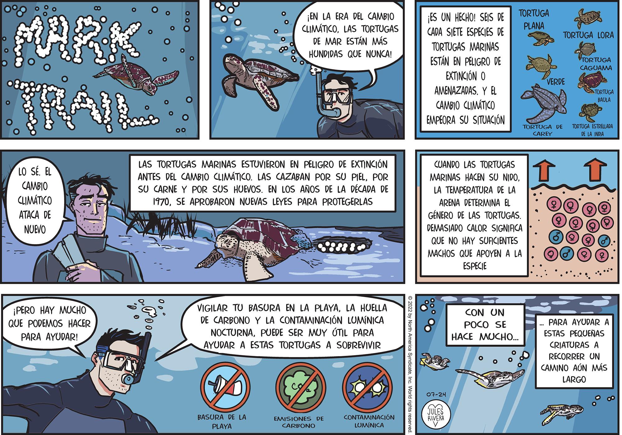 People OCR: LO SÉ. EL CAMBIO € CLIMÁTICO ATACA DE NUEVO ¡PERO HAY MUCHO QUE PODEMOS HACER PARA AYUDAR! Ooo 00 L ¡EN LA ERA DEL CAMBIO CLIMÁTICOLAS TORTUGAS DE MAR ESTÁN MÁS HUNDIDAS QUE NUNCA! LAS TORTUGAS MARINAS ESTUVIERON EN PELIGRO DE EXTINCIÓN ANTES DEL CAMBIO CLIMÁTICO. LAS CAZABAN POR SU PIELPOR SU CARNE Y POR SUS HUEVOS. EN LOS AÑOS DE LA DÉCADA DE 1970SE APROBARON NUEVAS LEYES PARA PROTEGERLAS BASURA DE LA PLAYA VIGILAR TU BASURA EN LA PLAYALA HUELLA DE CARBONO Y LA CONTAMINACIÓN LUMÍNICA NOCTURNAPUEDE SER MUY ÚTIL PARA AYUDAR A ESTAS TORTUGAS A SOBREVIVIR EMISIONES DE CARBONO CONTAMINACIÓN LUMÍNICA ¡ES UN HECHO! SEIS DE CADA SIETE ESPECIES DE TORTUGAS MARINAS ESTÁN EN PELIGRO DE EXTINCIÓN O AMENAZADAS. Y EL CAMBIO CLIMÁTICO EMPEORA SU SITUACIÓN 07-24 CUANDO LAS TORTUGAS MARINAS HACEN SU NIDO. LA TEMPERATURA DE LA ARENA DETERMINA EL GÉNERO DE LAS TORTUGAS. DEMASIADO CALOR SIGNIFICA QUE NO HAY SUFICIENTES MACHOS QUE APOYEN A LA ESPECIE JULES RIVERA TORTUGA PLANA CON UN POCO SE HACE MUCHO.... TORTUGA DE CAREY TORTUGA LORA VERDE ·· · · . · · · TORTUGA CAGUAMA TORTUGA ESTRELLADA DE LA INDIA 11 TORTUGA BAULA PARA AYUDAR A ESTAS PEQUENAS CRIATURAS A RECORRER UN CAMINO AÚN MÁS LARGO 0° LO SÉ . EL CAMBIO € CLIMÁTICO ATACA DE NUEVO ¡ PERO HAY MUCHO QUE PODEMOS HACER PARA AYUDAR ! Ooo 00 L ¡ EN LA ERA DEL CAMBIO CLIMÁTICOLAS TORTUGAS DE MAR ESTÁN MÁS HUNDIDAS QUE NUNCA ! LAS TORTUGAS MARINAS ESTUVIERON EN PELIGRO DE EXTINCIÓN ANTES DEL CAMBIO CLIMÁTICO . LAS CAZABAN POR SU PIELPOR SU CARNE Y POR SUS HUEVOS . EN LOS AÑOS DE LA DÉCADA DE 1970SE APROBARON NUEVAS LEYES PARA PROTEGERLAS BASURA DE LA PLAYA VIGILAR TU BASURA EN LA PLAYALA HUELLA DE CARBONO Y LA CONTAMINACIÓN LUMÍNICA NOCTURNAPUEDE SER MUY ÚTIL PARA AYUDAR A ESTAS TORTUGAS A SOBREVIVIR EMISIONES DE CARBONO CONTAMINACIÓN LUMÍNICA ¡ ES UN HECHO ! SEIS DE CADA SIETE ESPECIES DE TORTUGAS MARINAS ESTÁN EN PELIGRO DE EXTINCIÓN O AMENAZADAS . Y EL CAMBIO CLIMÁTICO EMPEORA SU SITUACIÓN 07-24 CUANDO LAS TORTUGAS MARINAS HACEN SU NIDO . LA TEMPERATURA DE LA ARENA DETERMINA EL GÉNERO DE LAS TORTUGAS . DEMASIADO CALOR SIGNIFICA QUE NO HAY SUFICIENTES MACHOS QUE APOYEN A LA ESPECIE JULES RIVERA TORTUGA PLANA CON UN POCO SE HACE MUCHO .... TORTUGA DE CAREY TORTUGA LORA VERDE ·· · · . · · · TORTUGA CAGUAMA TORTUGA ESTRELLADA DE LA INDIA 11 TORTUGA BAULA PARA AYUDAR A ESTAS PEQUENAS CRIATURAS A RECORRER UN CAMINO AÚN MÁS LARGO 0°