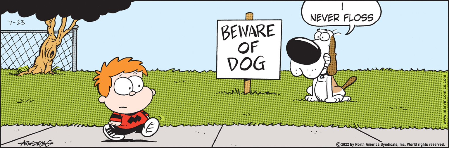 Line OCR: 7-23 ARMSTRONG BEWARE OF DOG ..with... NEVER FLOSS ?2022 by North America SyndicateInc. World rights reserved. 7-23 ARMSTRONG BEWARE OF DOG ..with ... NEVER FLOSS ?2022 by North America SyndicateInc. World rights reserved .