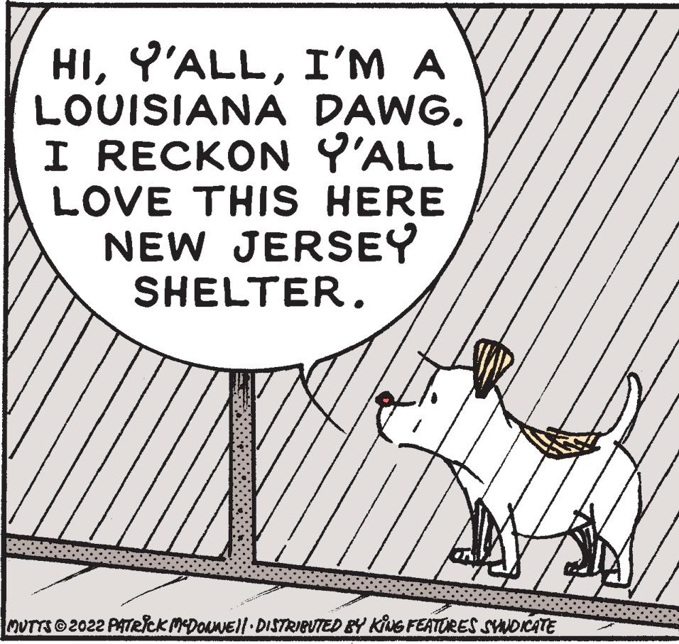 Pattern OCR: HII'M A LOUISIANA DAWG. I RECKON Y'ALL LOVE THIS HERE NEW JERSEY SHELTER. MUTTS?2022 PATRICK MCDONNE||· DISTRIBUTED BY KING FEATURES SYNDICATE HII'M A LOUISIANA DAWG . I RECKON Y'ALL LOVE THIS HERE NEW JERSEY SHELTER . MUTTS?2022 PATRICK MCDONNE || · DISTRIBUTED BY KING FEATURES SYNDICATE