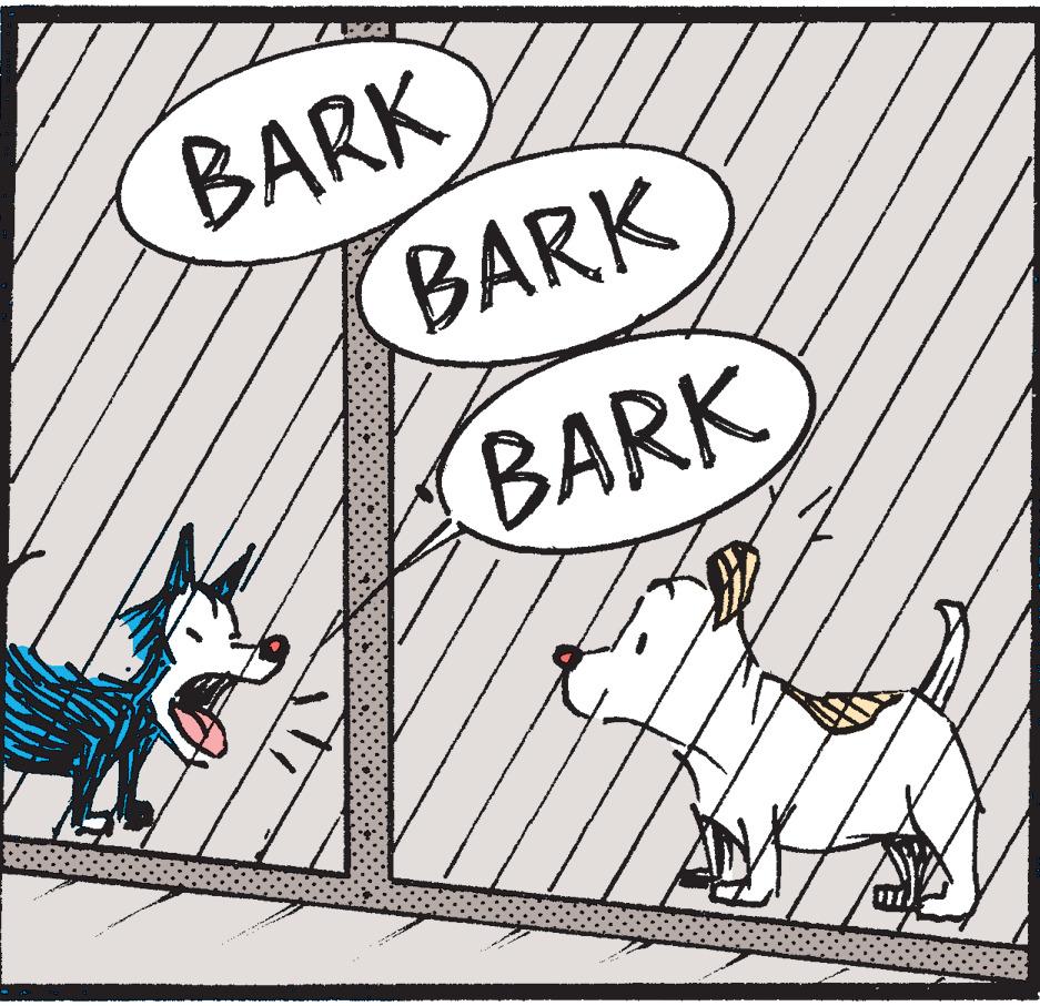 Art OCR: LOCAL BARK BARK BARK LOCAL BARK BARK BARK