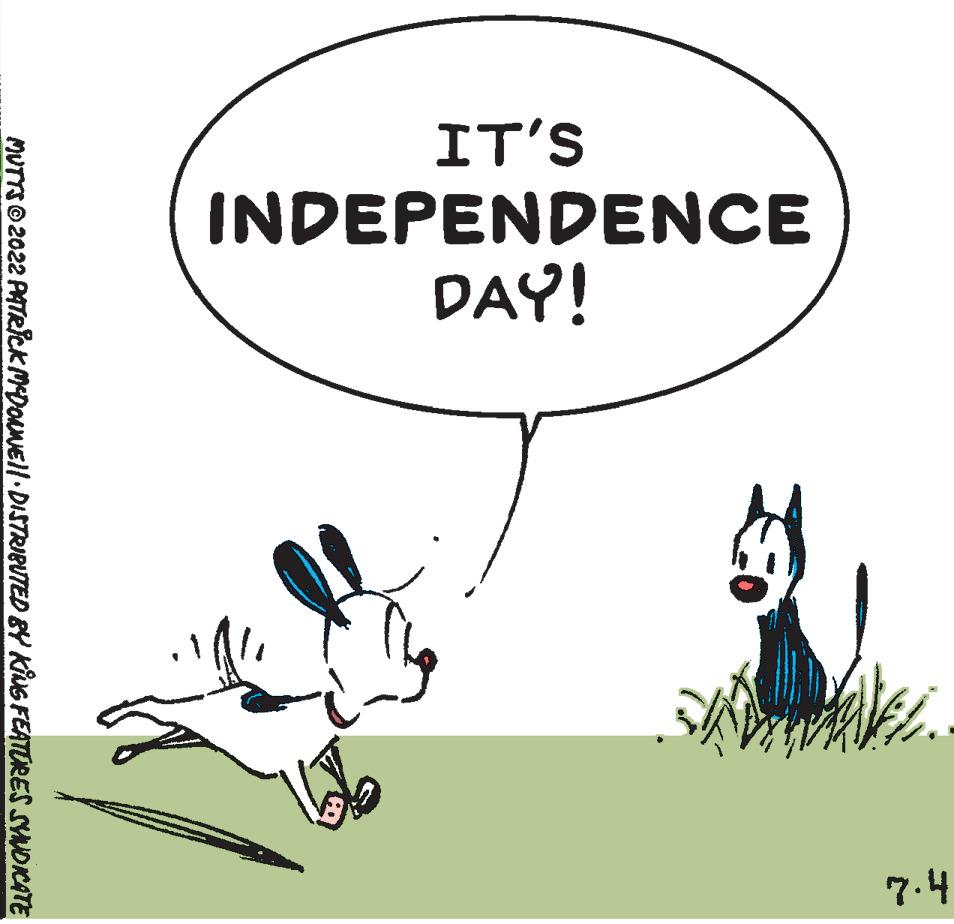 Drawing OCR: IT'S INDEPENDENCE DAY! 4.2 MUTTS?2022 PATRICK MCDONNE||· DISTRIBUTED BY KING FEATURES SYNDICATE IT'S INDEPENDENCE DAY ! 4.2 MUTTS?2022 PATRICK MCDONNE || · DISTRIBUTED BY KING FEATURES SYNDICATE