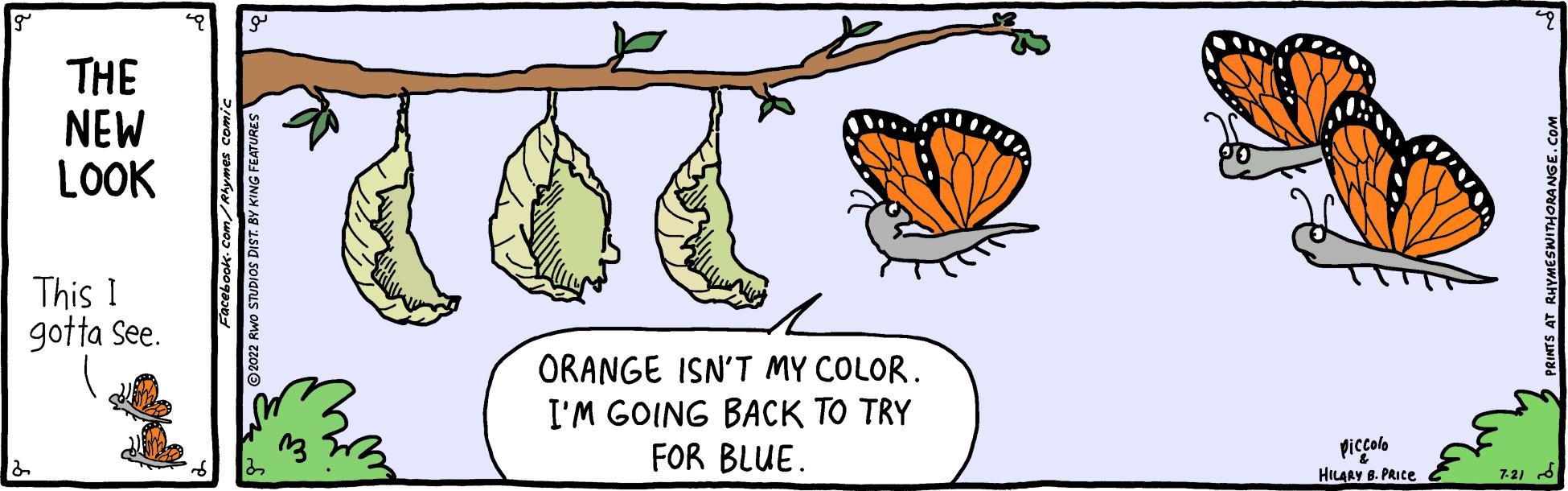 Rectangle OCR: THE NEW LOOK This I gotta see. ORANGE ISN'T MY COLOR. I'M GOING BACK TO TRY FOR BLUE. Piccolo HILARY B. PRICE 7-21 - THE NEW LOOK This I gotta see . ORANGE ISN'T MY COLOR . I'M GOING BACK TO TRY FOR BLUE . Piccolo HILARY B. PRICE 7-21 -